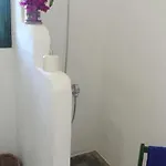 Charming On The Sea Turtle