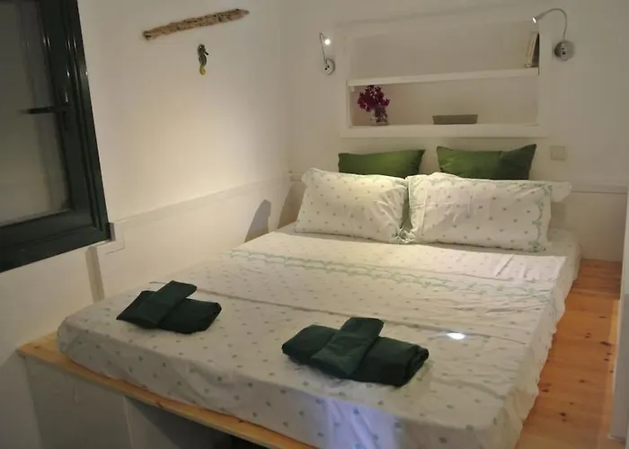 Charming On The Sea Turtle *