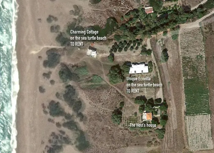 Charming On The Sea Turtle Apolakkia