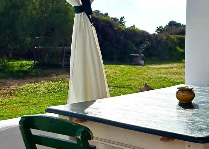 Charming On The Sea Turtle