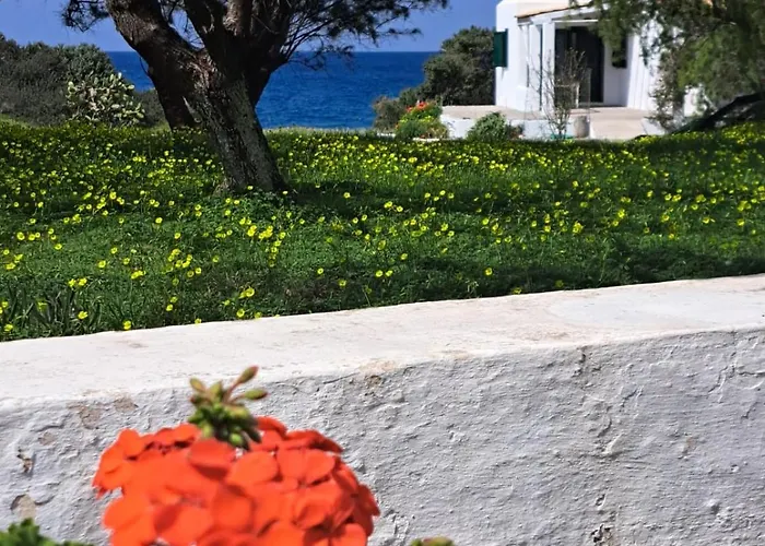 Charming On The Sea Turtle