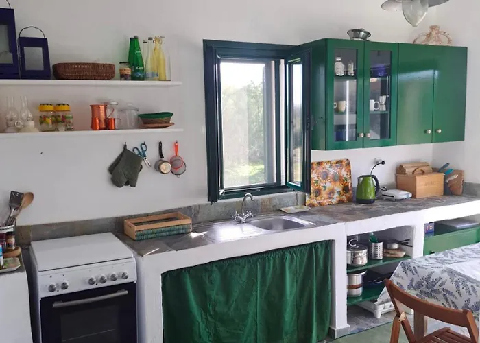 Charming On The Sea Turtle * Apolakkia