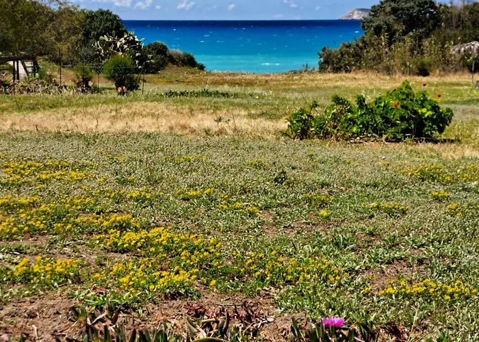 Charming On The Sea Turtle 펜션