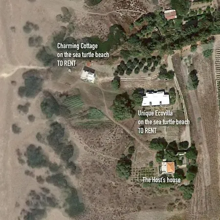 Charming On The Sea Turtle Apolakkia