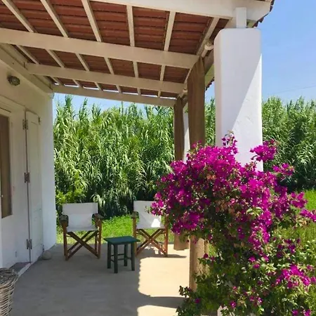 Charming On The Sea Turtle Holiday home