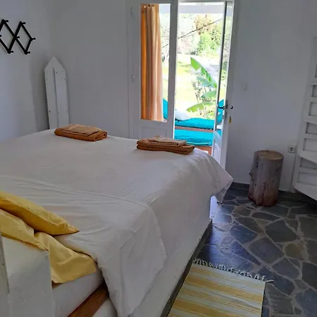 Charming On The Sea Turtle *