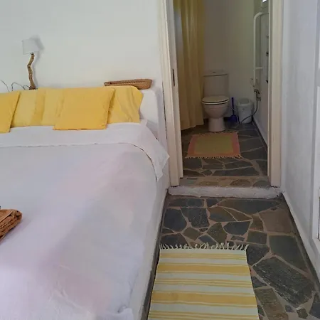 Charming On The Sea Turtle