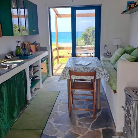 Charming On The Sea Turtle Apolakkia