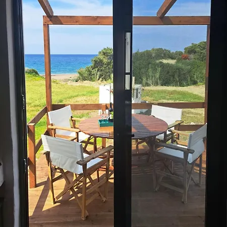 Charming On The Sea Turtle *