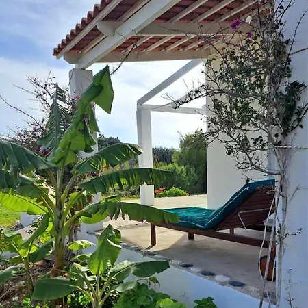 Charming On The Sea Turtle Holiday home