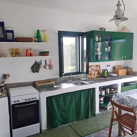 Charming On The Sea Turtle * Apolakkia