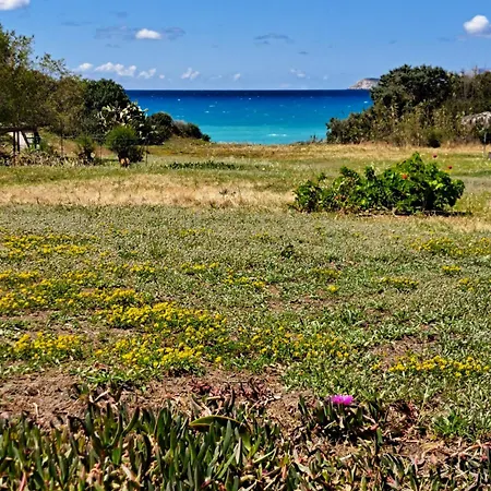 Charming On The Sea Turtle Holiday home