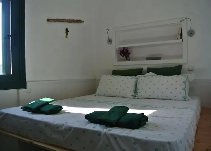 Charming On The Sea Turtle Apolakkia