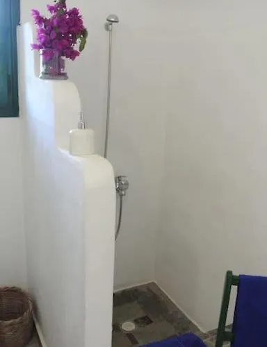 Charming On The Sea Turtle