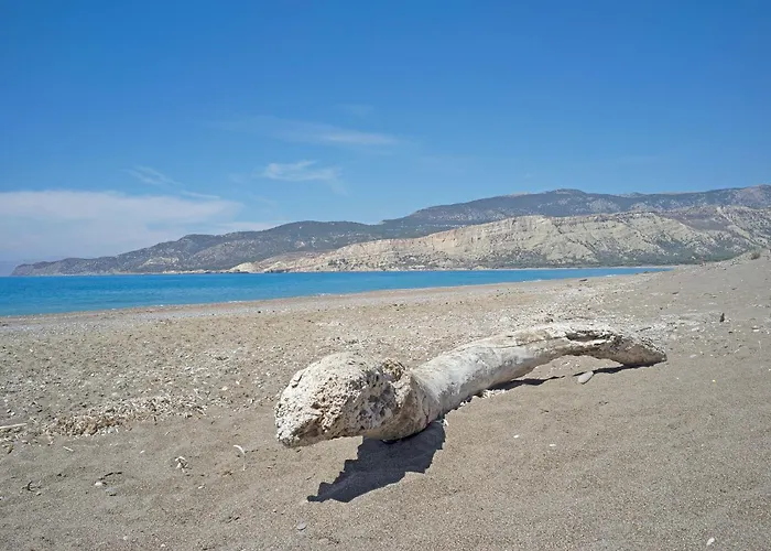 Charming On The Sea Turtle بيت للعطل
