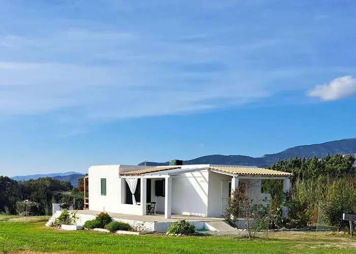 Charming On The Sea Turtle *