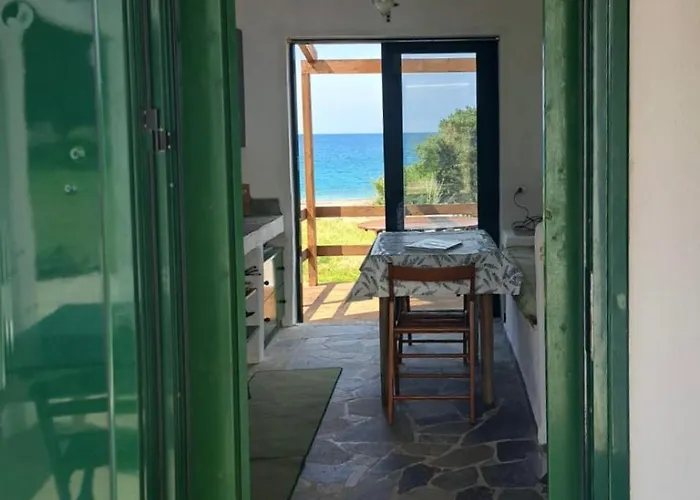 Charming On The Sea Turtle *