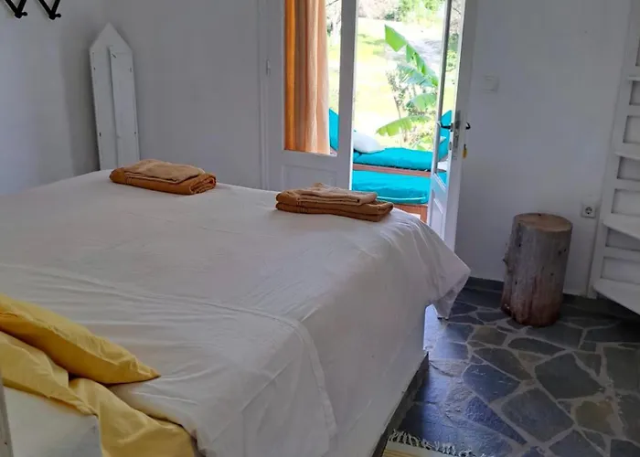 Charming On The Sea Turtle *