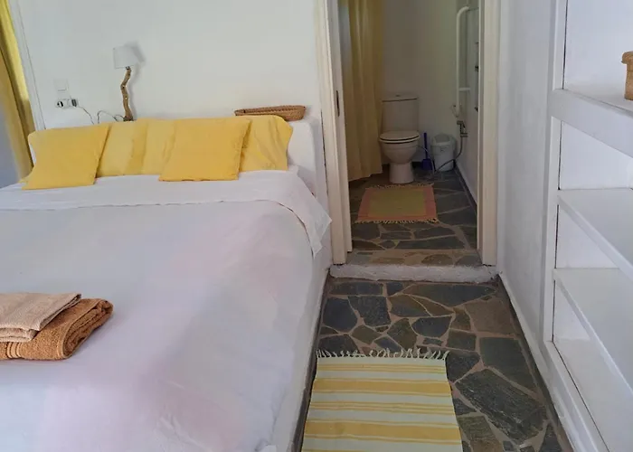 Charming On The Sea Turtle