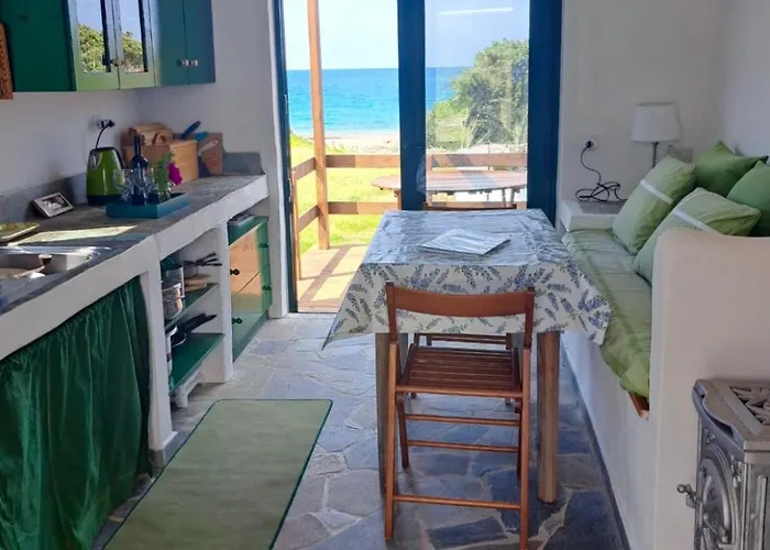 Charming On The Sea Turtle Apolakkia