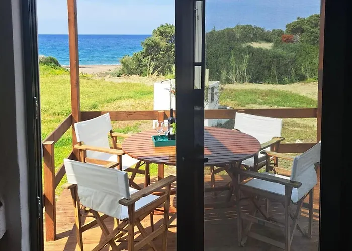 Charming On The Sea Turtle *