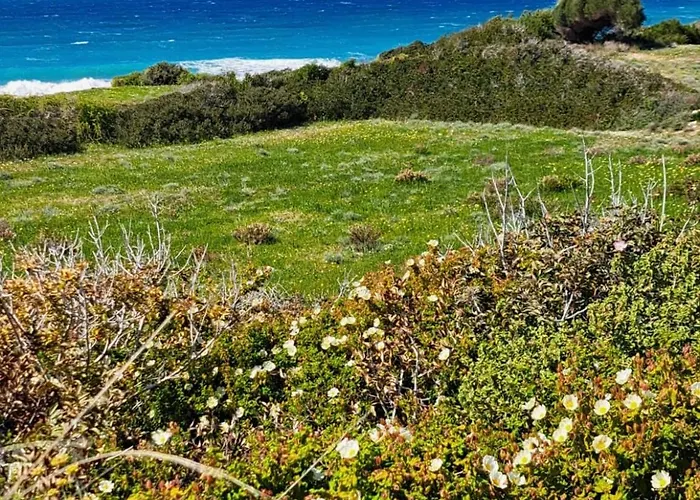 Charming On The Sea Turtle بيت للعطل *