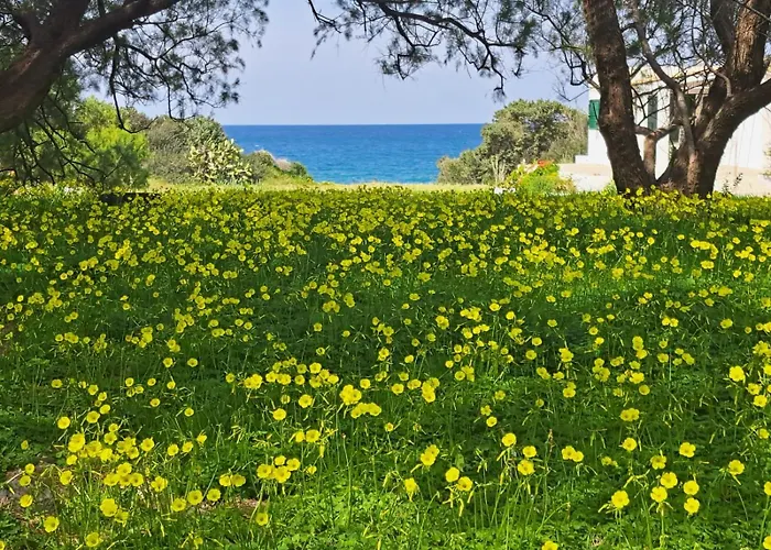 Charming On The Sea Turtle بيت للعطل Apolakkia