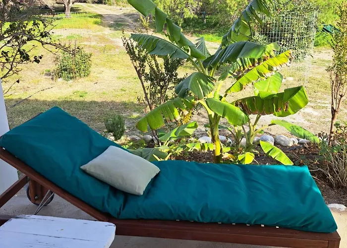 بيت للعطل Charming On The Sea Turtle