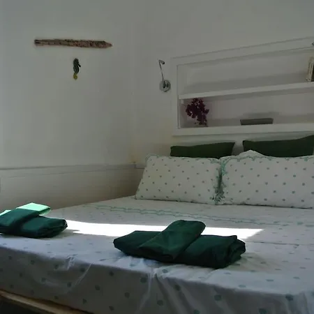 Charming On The Sea Turtle Apolakkia