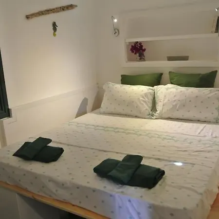 Charming On The Sea Turtle *