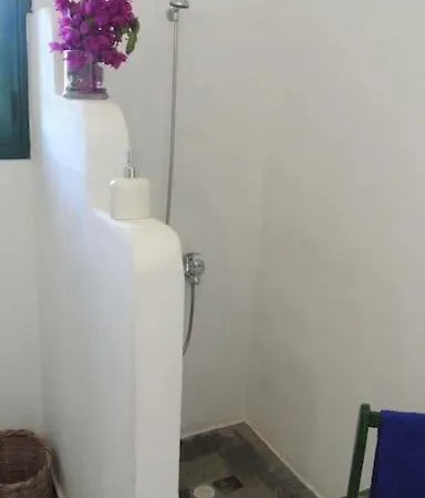 Charming On The Sea Turtle