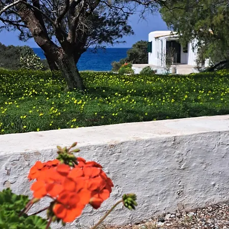 Charming On The Sea Turtle