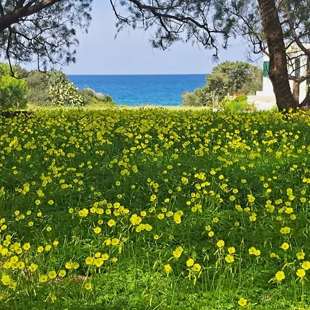 Charming On The Sea Turtle Hébergement de vacances Apolakkia