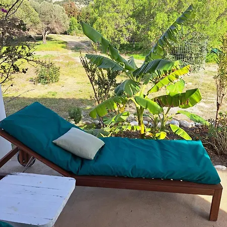 Hébergement de vacances Charming On The Sea Turtle